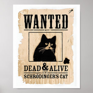 Morto De Gato De Schrodinger Vivo Ou Poster De Gat