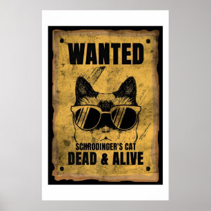 Morto De Gato Vivo Ou Poster De Gato Vivo