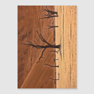 Morto Vlei, Namíbia