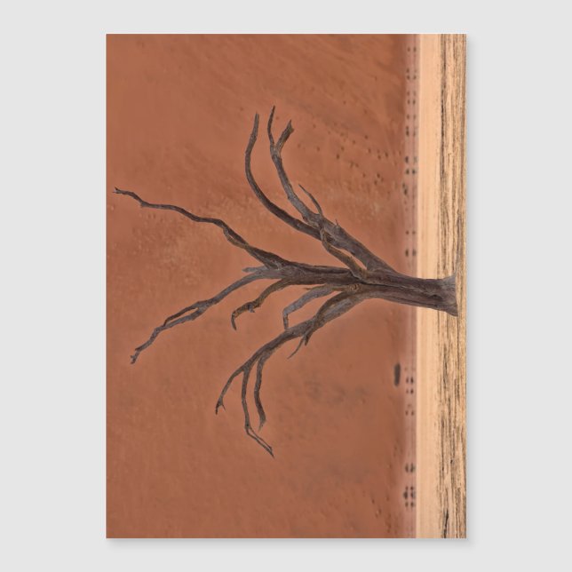 Morto Vlei, Namíbia (Frente)