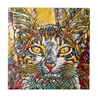 Mosaico Multicolorido Cat 697