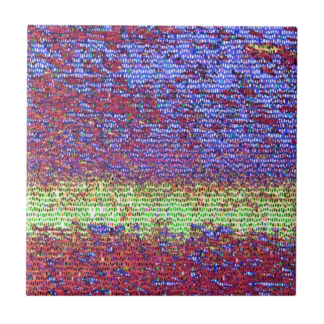 Mosaico roxo e amarelo (Frente)