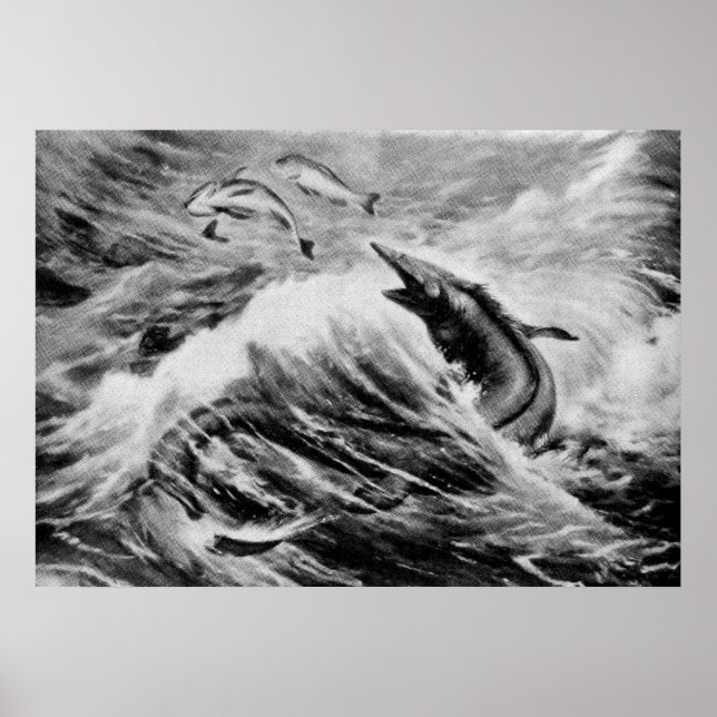 Mosassauro - Impressão Antiquado Animal Pré-Histór (Frente)