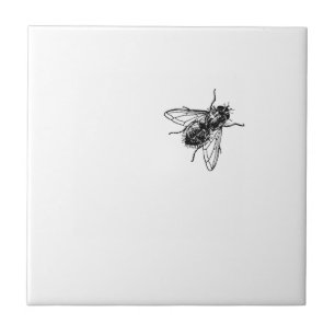 mosca