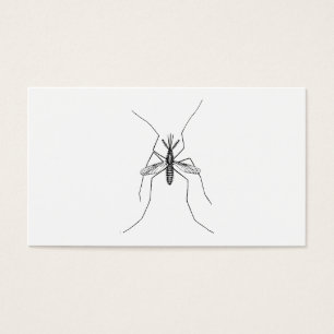 Mosquito