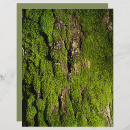 Moss on tree bark scrapbook paper