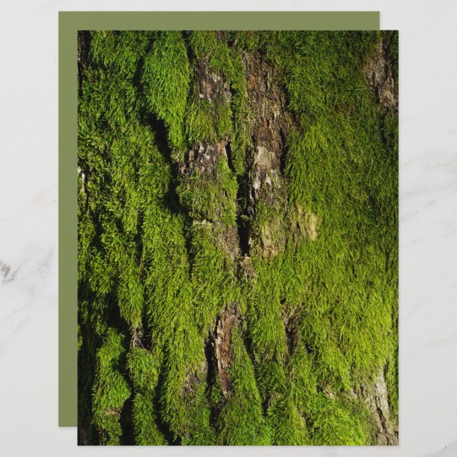 Moss on tree bark scrapbook paper (Frente/Verso)