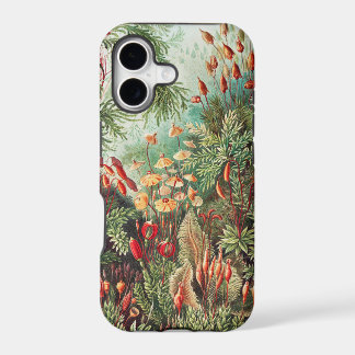 Mosses, Muscinae Laubmoose por Ernst Haeckel