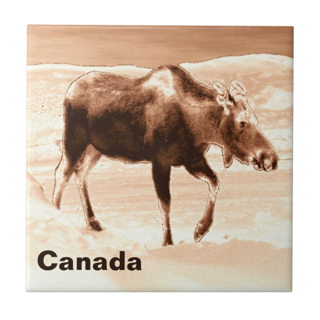 Mosto de chocolate de leite (Frente)