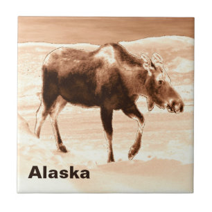 Mosto de chocolate de leite