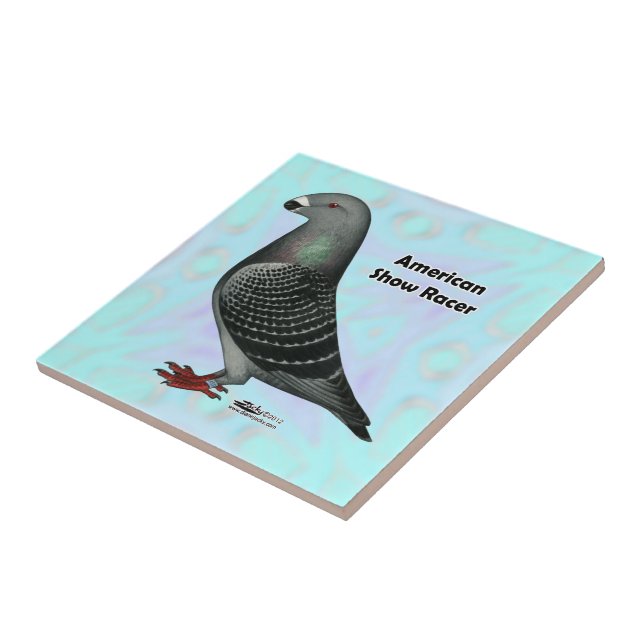 Mostrar ASR do Racer (Lateral)