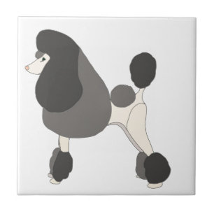 Mostrar Poodle