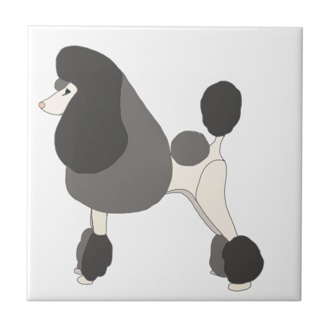 Mostrar Poodle (Frente)