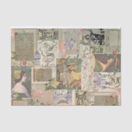 Mostre Seu Próprio Papel Tecidual Do Dragão