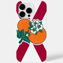 Mostre suas cores - Flórida