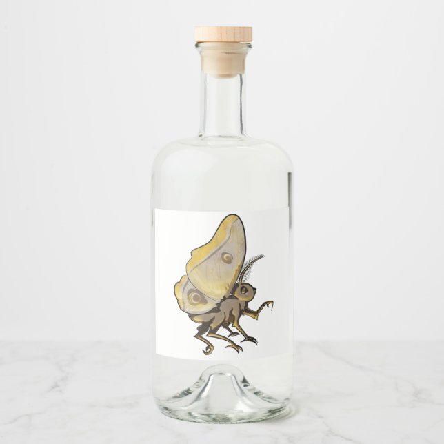 Moth (Frente)