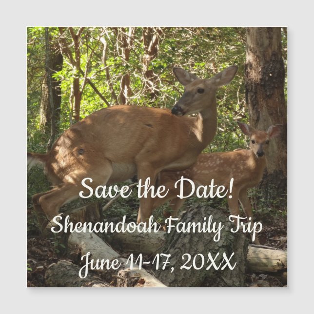 Mother and Baby Deer at Shenandoah National Park (Frente)