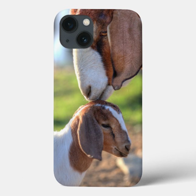 Mother Goat & Baby (Verso)