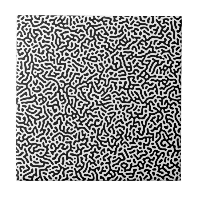Motif de Turing Noir et Blanc (Frente)