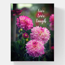 Motivação da Flor Dahlia Rosa e Branca