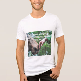 Motivação para Amantes de Cavalos Equestres que Pr