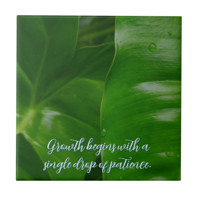 Motivação positiva personalizável (Frente)