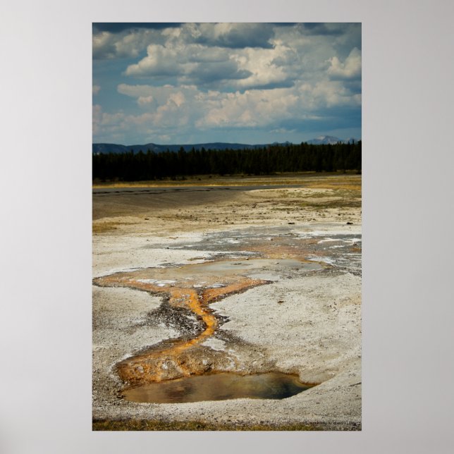 Motivos pintados Impressão (Frente)