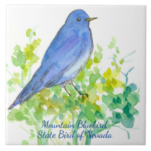 Mountain Bluebird Nevada State Watercolor