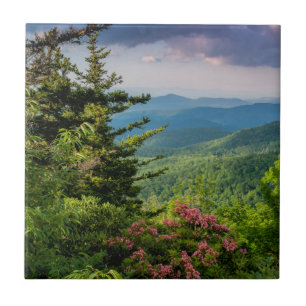 Mountain Laurel ao Nascer do Sol
