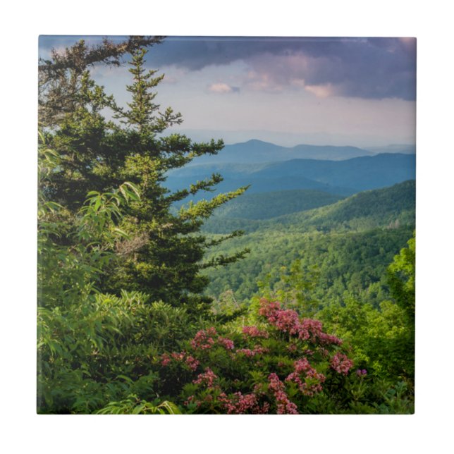 Mountain Laurel ao Nascer do Sol (Frente)
