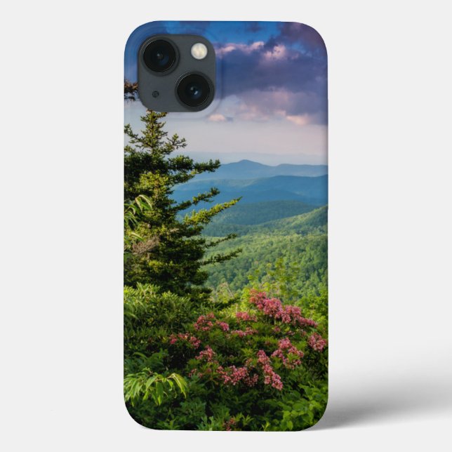 Mountain Laurel at Sunrise (Verso)