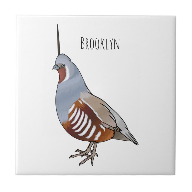 Mountain quail bird cartoon illustration  (Frente)