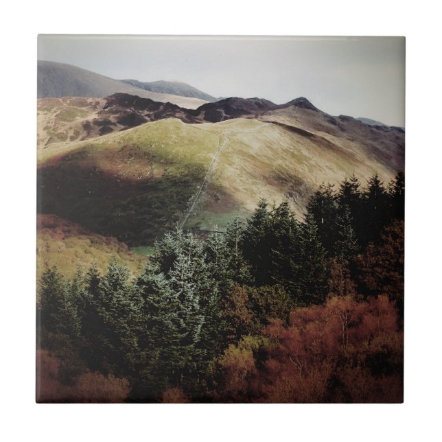 MOUNTAIN VIEWS OF WALES (Frente)