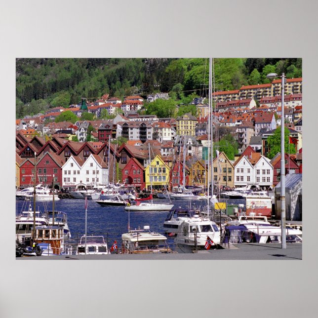 Mountainous Marina Poster (Frente)