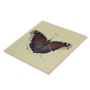 Mourning Cloak Butterfly - Antiopa Ninfalis