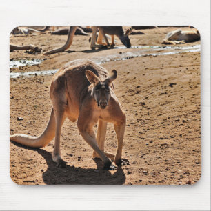 mouse pad