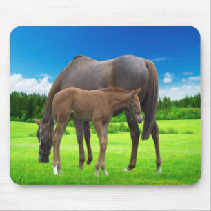 Mouse pad