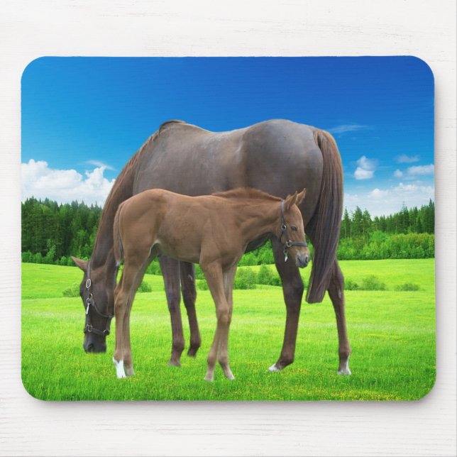 Mouse pad (Frente)