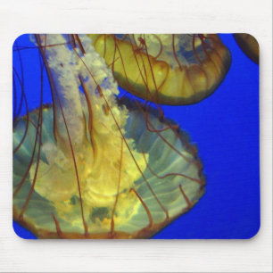 Mouse Pad - Água-vivas