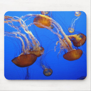 Mouse Pad - Água-vivas