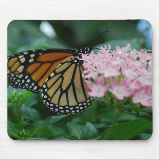 Mouse pad Borboleta Monarca