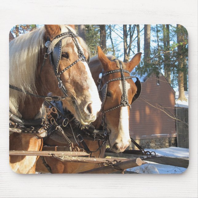 Mouse Pad Cavalo de Inverno Rústico (Frente)