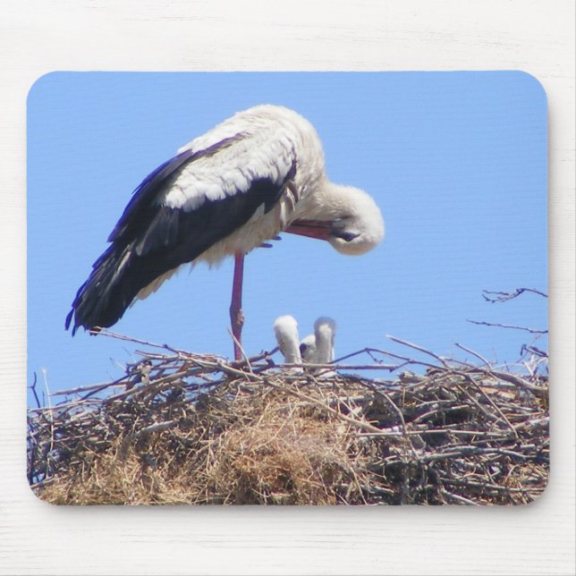 Mouse pad com aves (Frente)