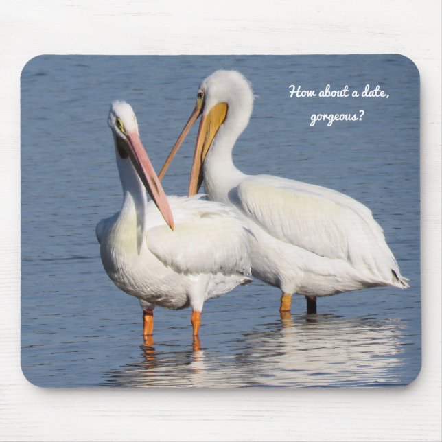 Mouse Pad com Dois Pelicanos Engraçados (Frente)