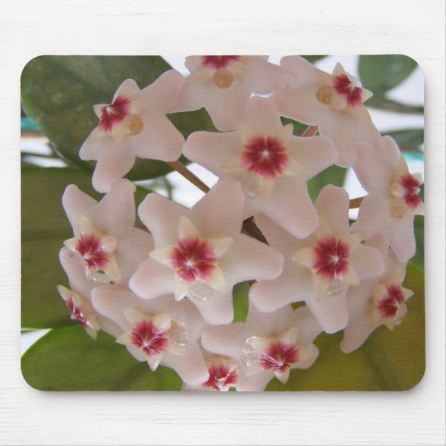 Mouse pad com flores (Frente)