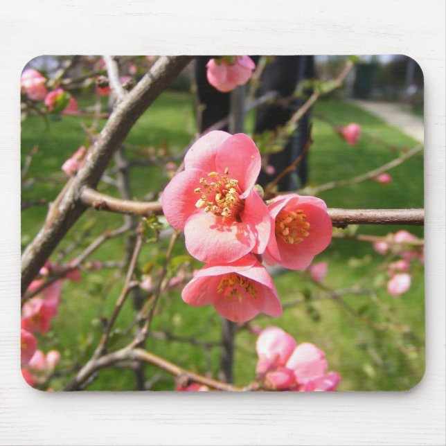 Mouse pad com flores (Frente)