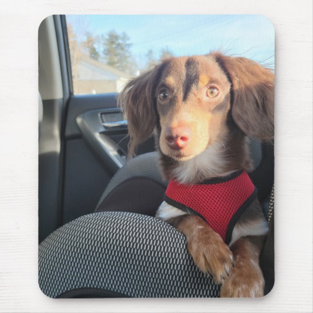 mouse pad com o Kio no cachorrinho (Frente)