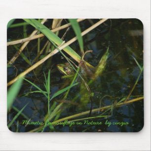 Mouse Pad com um sapo mimético verde