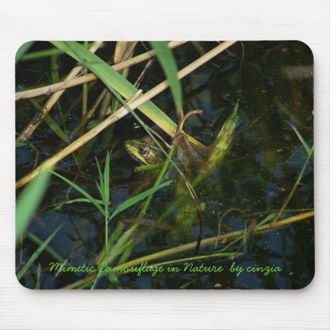 Mouse Pad com um sapo mimético verde (Frente)