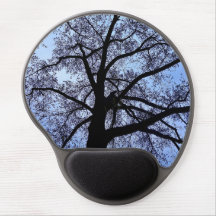 A beleza da natureza